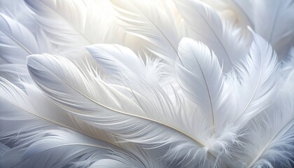 Fototapeta premium Close-up of soft white feathers, delicate and fluffy texture.