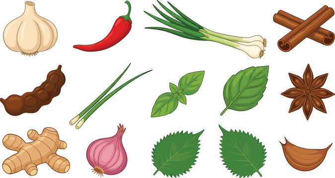 High quality vector illustration set of common kitchen spices and herbs including garlic chili ginger cinnamon star anise onion and fresh green leaves