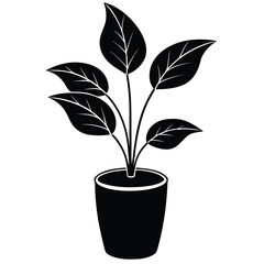 plant on white background