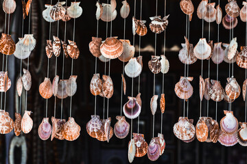 Decorative hanging seashell arrangement made from natural scallop shells, forming a visually rich coastal art pattern