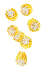 Peeled and sliced corn cobs fall in space. Isolated on white.