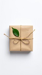 Eco Friendly Gift Wrapped in Kraft Paper Tied with Twine and Decorated with a Green Leaf on a White Background