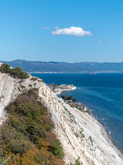 Panoramic view of the sea from a rocky hillside with pine trees under a clear blue summer sky