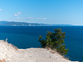 Panoramic view of the sea from a rocky hillside with pine trees under a clear blue summer sky