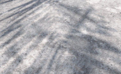 Snow patches on the ground receiving sunlight with tree shadows creating an abstract texture