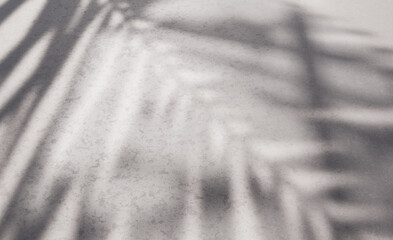 Palm leaf shadows creating abstract patterns on a textured concrete surface