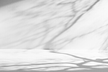 Tree shadows projecting organic shapes onto a blank concrete background