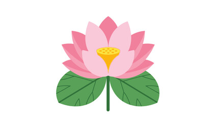 Pink Lotus Flower with Green Leaves Isolated on White Background