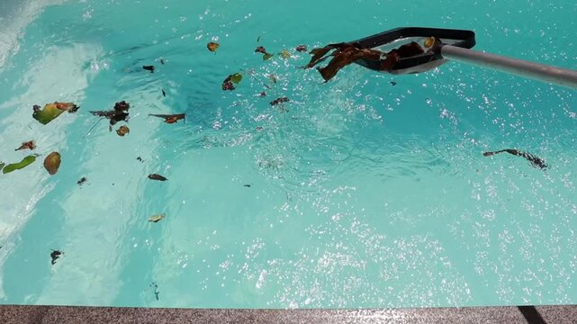 com tela  faz limpeza de piscina tirando folhas 