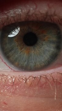 An ultra-detailed macro shot of a human eye revealing intricate iris texture, natural colors, and fine details. Ideal for concepts of vision, biometrics, ophthalmology, technology