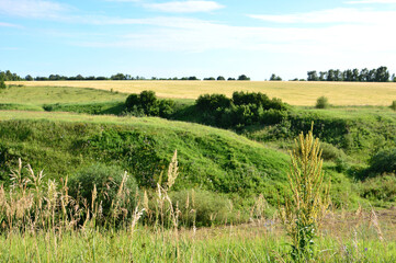 Fototapeta premium Sunny Summer Day in the Rolling Green Hills and Golden Fields copy space