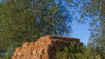 Farm scene with stacked hay bales and green plants