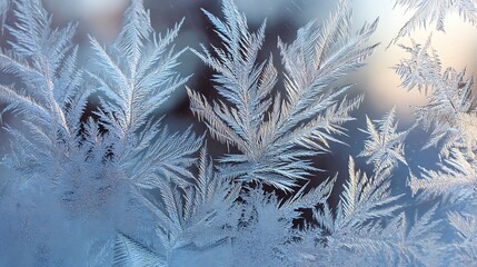 Intricate, crystalline formations of frost adorn a window's surface. A close-up view reveals delicate patterns
