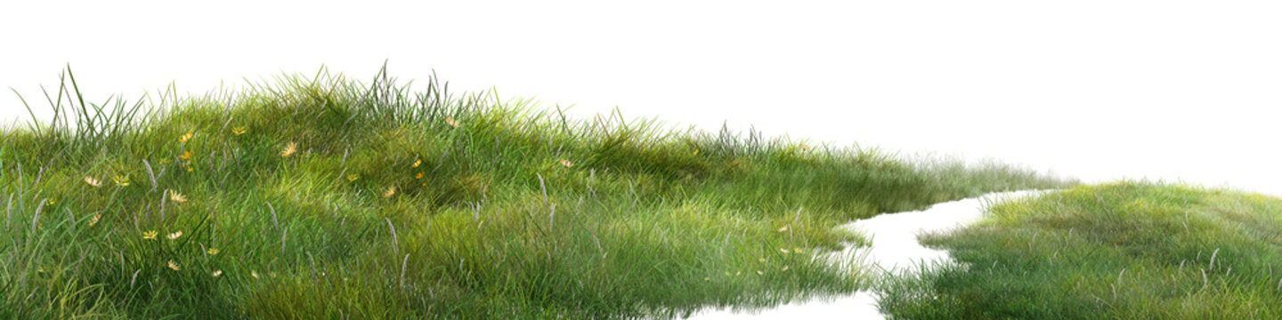 grass Wide green meadow with wild grass and small flowers isolated on a white background, expressing natural landscape and fresh spring growth.