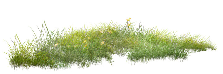 grass isolated on white background/Fresh green grass patch isolated on a white background, symbolizing natural growth, ecology, and outdoor landscape beauty.
