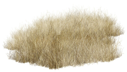 brush on a white background/Dense clump of dry wild grass isolated on a white background, highlighting natural texture and earthy countryside tones.