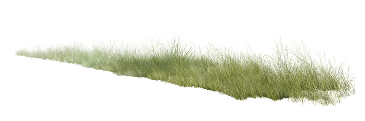 grass isolated on white background/Fresh green wild grass border isolated on a white background, showing natural texture and a clean minimalist landscape style.
