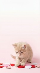 Cute Valentine Pet Advertising Background Cute Kitten Playing with Colorful Heart Shapes on Pink Background Valentine Animal Background with Copy Space