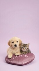 Cute Valentine Pet Advertising Background Adorable Puppy and Kitten Together on Heart-Shaped Cushion Valentine Animal Background with Copy Space