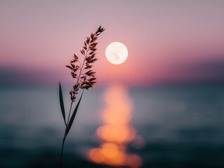 Sunset serenity the ocean with silhouetted plant