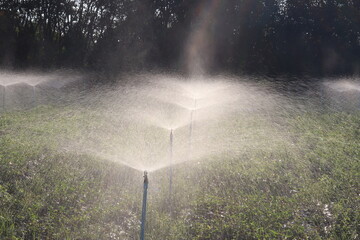 Irrigation System in Field: A dynamic shot showcasing an irrigation system in action, spraying water across a vibrant field.