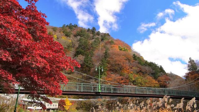 栃木県那須塩原市　秋の紅葉に染まる塩原温泉と山ゆりの吊橋