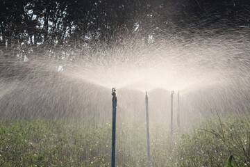 Sprinklers in Field: Capture the refreshing vitality of nature as sprinklers create a delicate dance of water droplets. Witness the revitalizing water sprinkling on field.