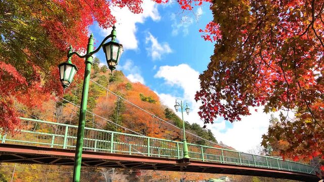 栃木県那須塩原市　秋の紅葉に染まる塩原温泉と山ゆりの吊橋