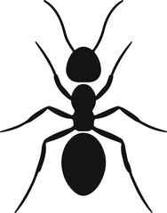 ant icon