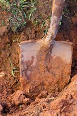 A close‑up view of a shovel partially embedded in rich, reddish‑brown soil, capturing the texture and detail of freshly dug earth. 
