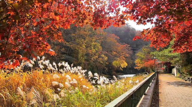 栃木県那須塩原市　秋の紅葉に染まる塩原温泉と箒川