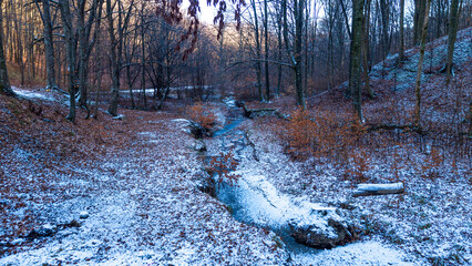 Frozen stream in Dobrovat Forest, Iasi County, Romania