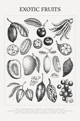 Exotic fruits poster. Tropical plants hand drawn vector illustration. Botanical print design in sketch style. NOT AI generated