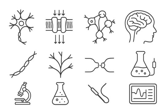 Optogenetics Icon Set. Line style icons of Optogenetic Research: Neuron, Photosensitive Protein, Neural Network, Brain Circuit;