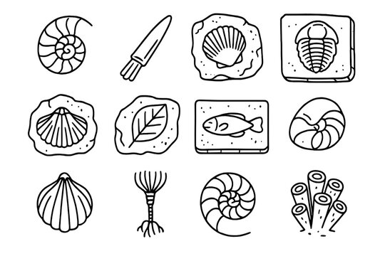 Fossil Mollusk Icons. Line style icons of fossil mollusks: ammonite, belemnite, fossil shell, trilobite; etched slab, petrified