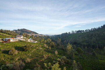 Fototapeta premium Haus in der Landschaft mit weitläufigen Teeplantagen und Landwirtschaft im Hochland der Nilgiri Berge bei Kotagiri