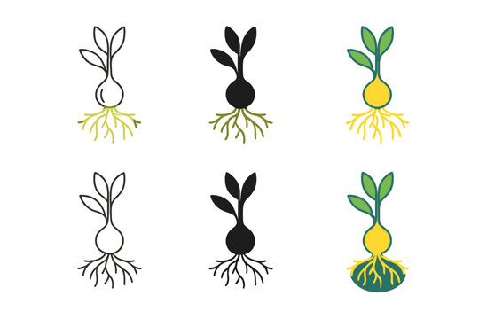 Luminous Geophyte Roots. Geophyte plant with luminous underground network of roots, clean minimalist vector, first in line style