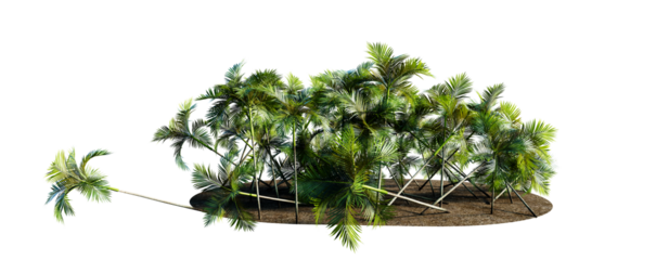 Island with tall palm trees and green grass on rocks