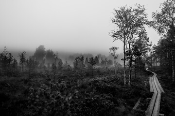 Minimalist black and white landscape of a wooden path disappearing into dense fog.