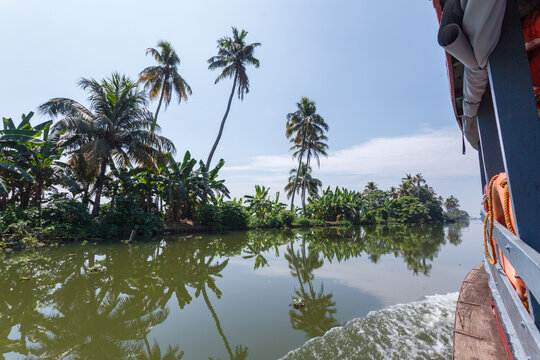 Fahrt mit der &ouml;ffentlichen F&auml;hre durch die Backwaters, Palmen am Ufer,  S&uuml;dindien, Kerala,  Backwaters, Kottayam,