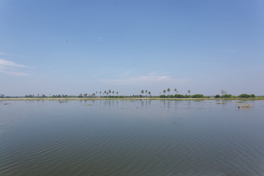 Fahrt mit der &ouml;ffentlichen F&auml;hre durch die Backwaters,  Palmen, Ufer,  hitner den Palmen Reisfelder, S&uuml;dindien, Kerala,  Backwaters, Kottayam,