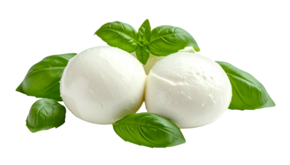 Two white cheese balls with fresh green basil leaves on a black background
