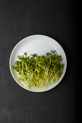 fresh sunflower microgreen sprouts on white plate, black background. Healthy organic greenery, superfood. Copy space, top view
