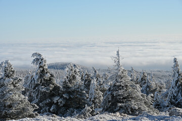 Blick auf den winterlichen Harz vom Gipfel des Brockens