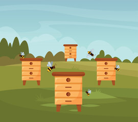 Apiary. landscape with houses for bees. vector template