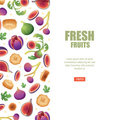 Fig tree. fresh healthy fruits background with fig tree plants