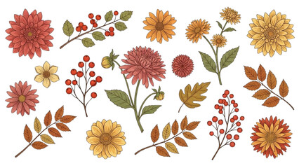 A vibrant collection of autumnal flowers and leaves arranged in a visually appealing pattern on a clean white background