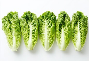 Handpicked green lettuce leaves for optimal freshness.