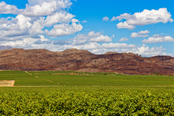 Amazing white clouds against a blue sky and high mountains in Slanghoek, Western Cape, South Africa.
