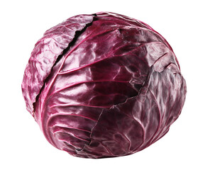 Obraz premium Fresh whole red cabbage head captured in a studio setting on a isolated on transparent background